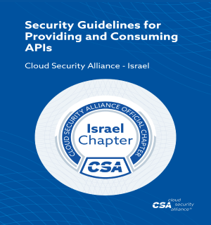 Security-Guidelines-for-Providing-and-Consuming-APIs-v1